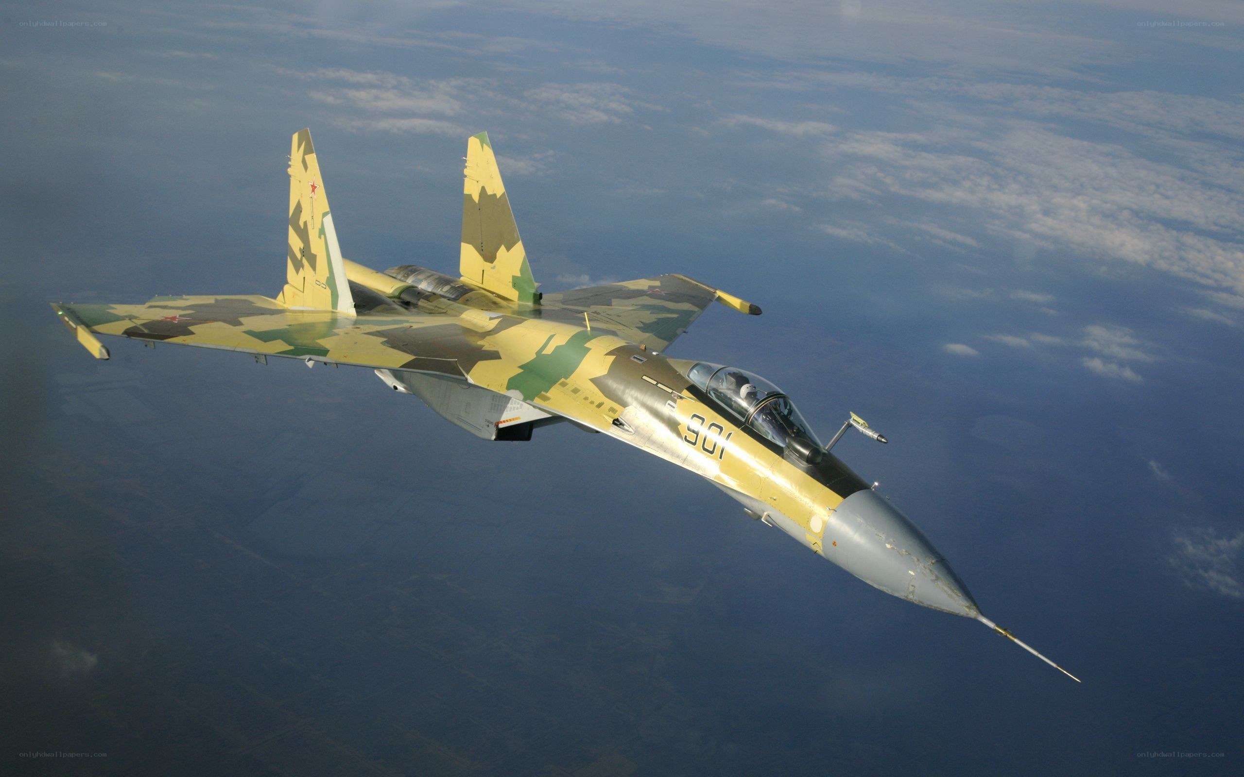Su-30 fighter jet in flight