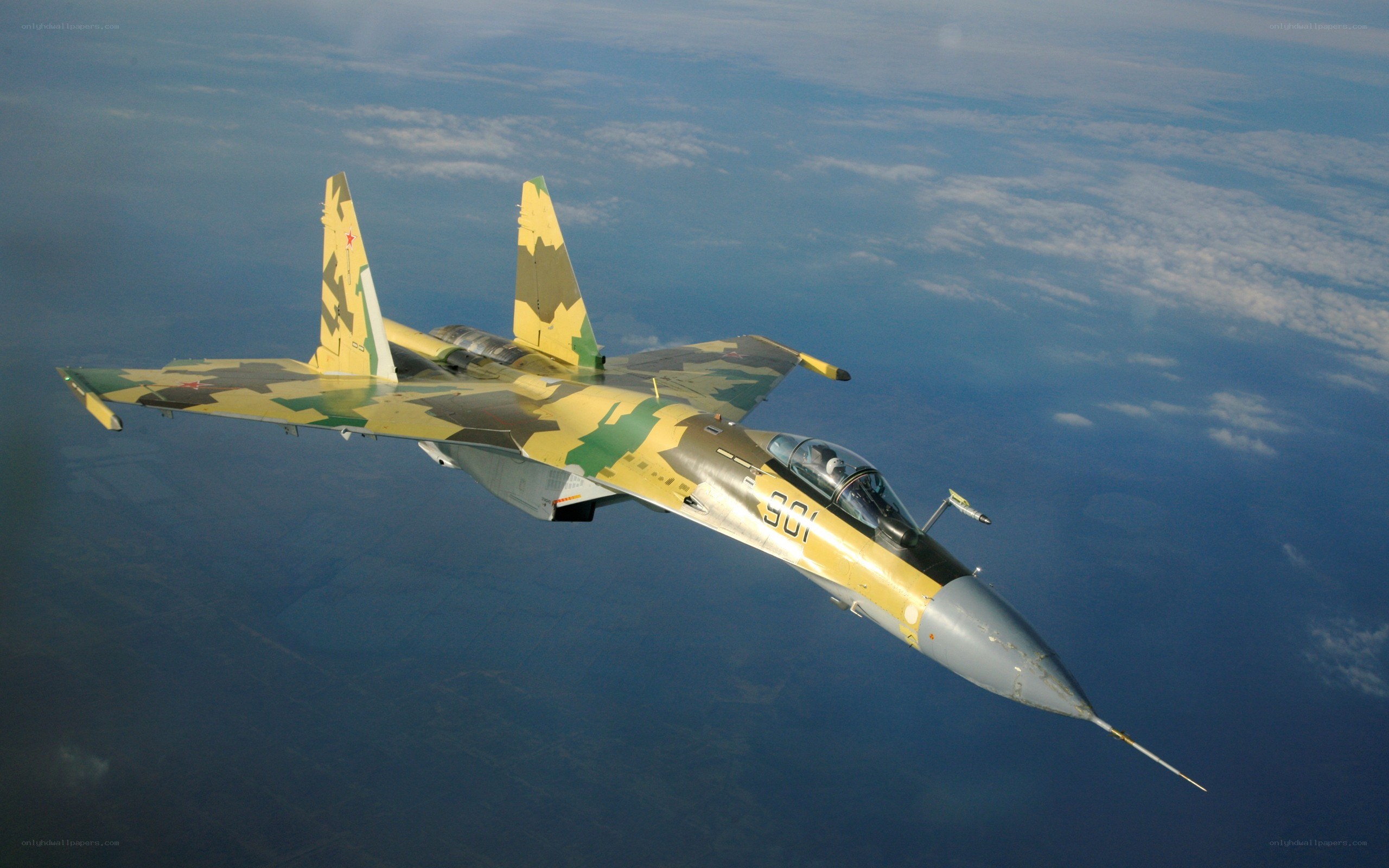 Su-30 fighter jet in flight
