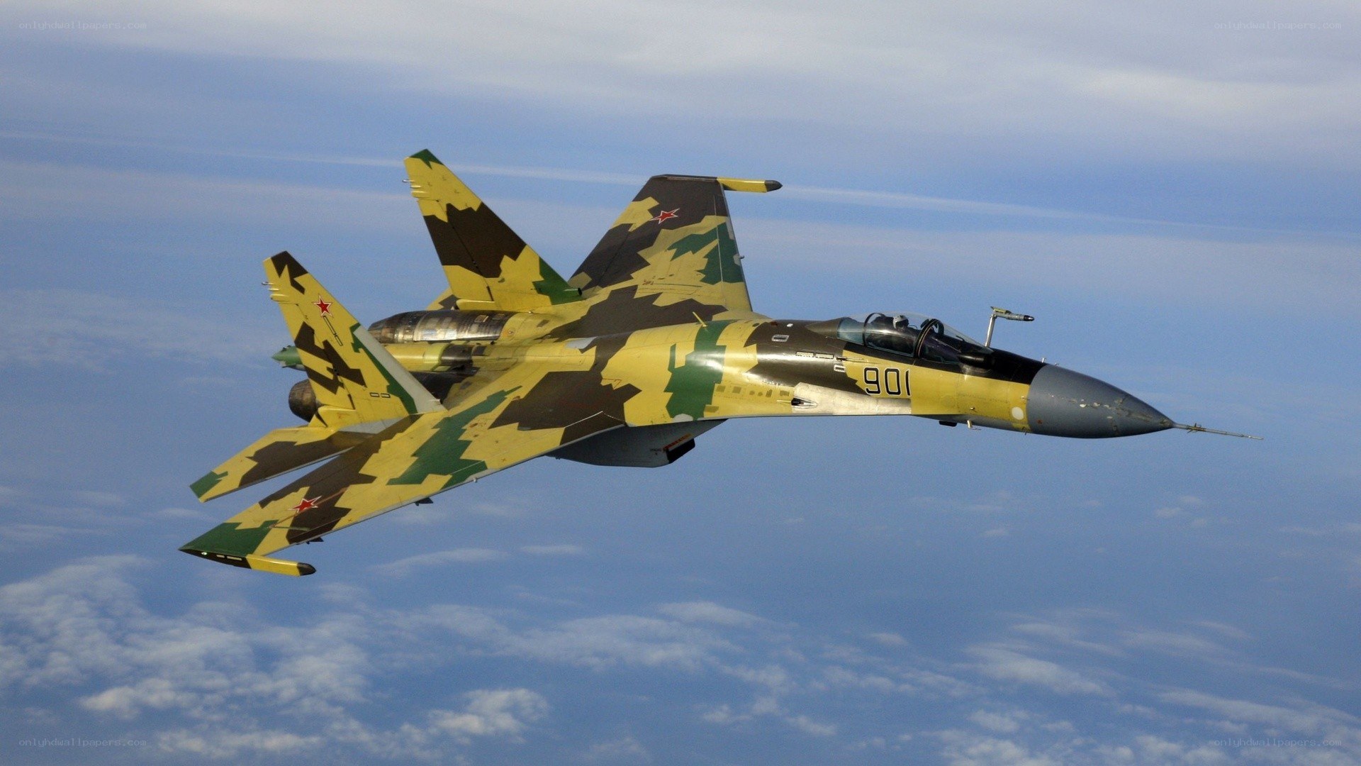 Su-30 fighter jet in flight