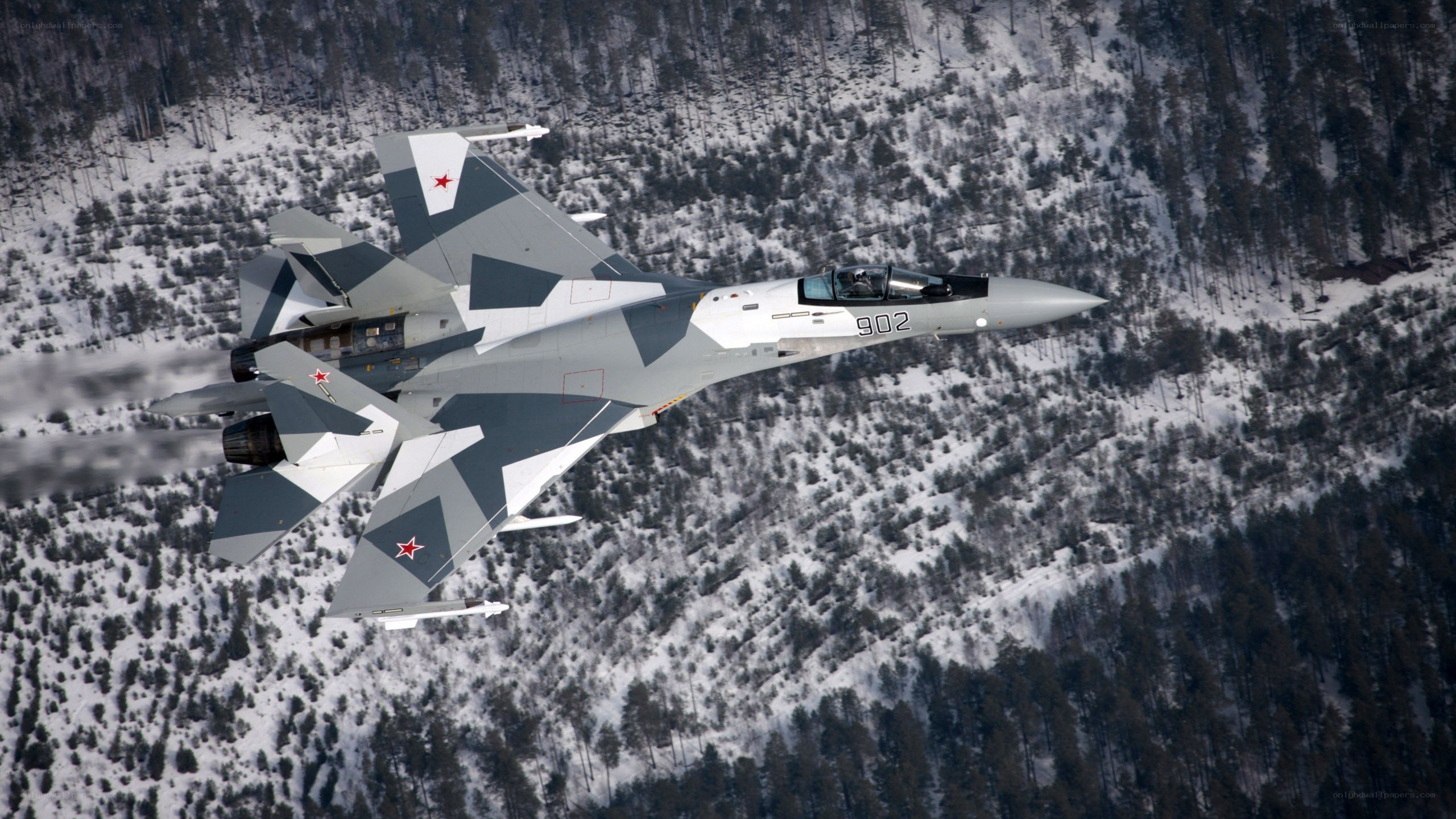 Su-30 fighter jet in flight