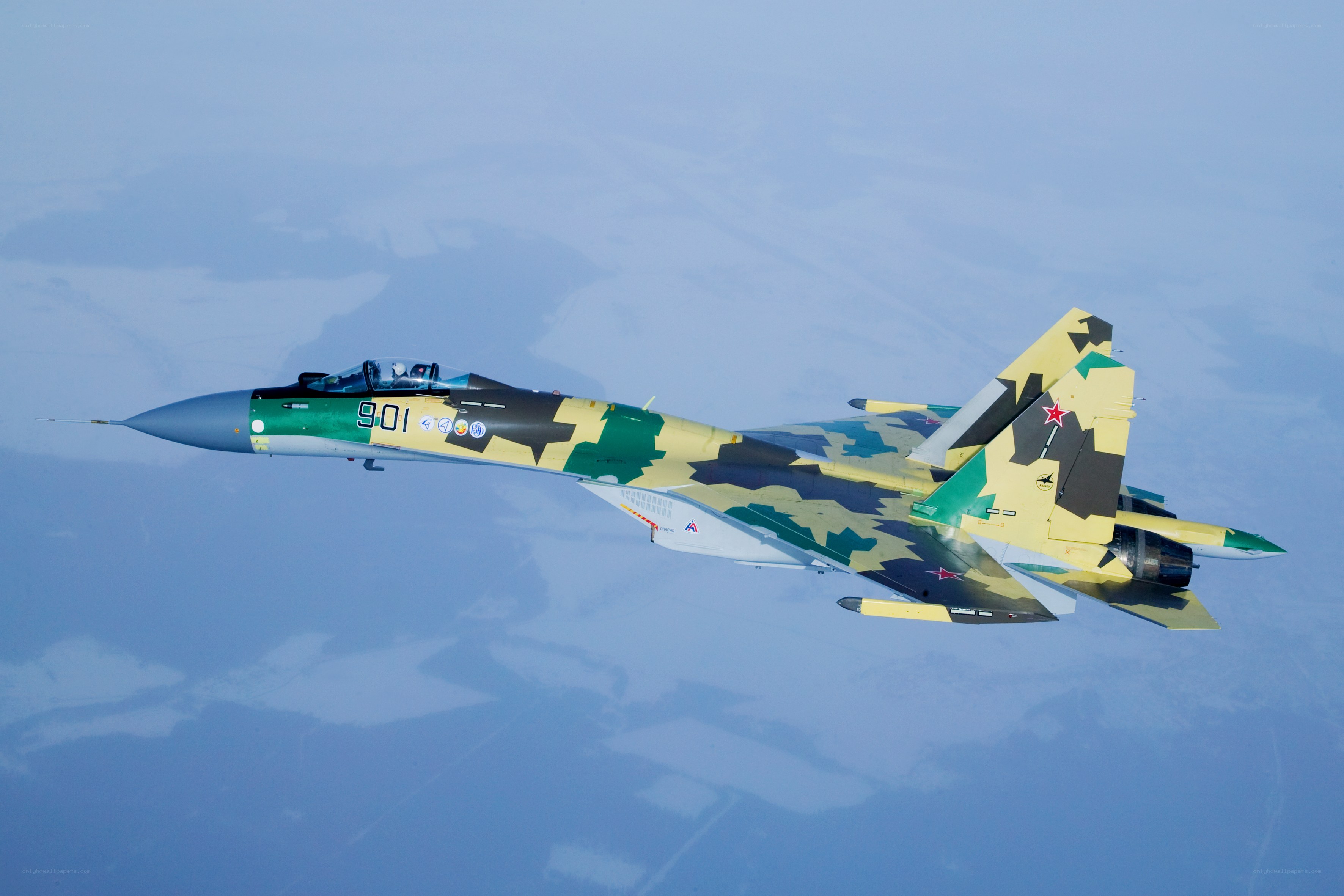 Su-30 fighter jet in flight