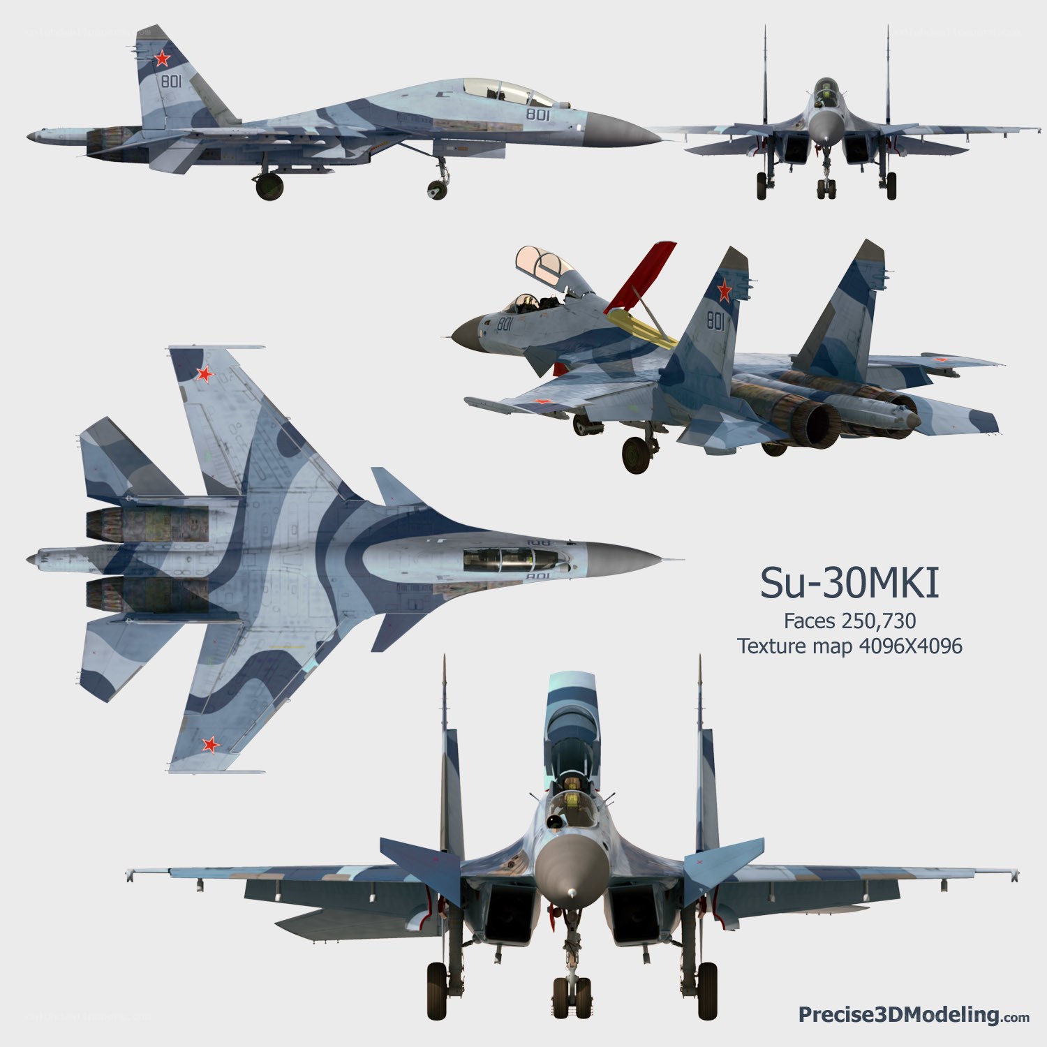 Su-30MKI fighter jet views