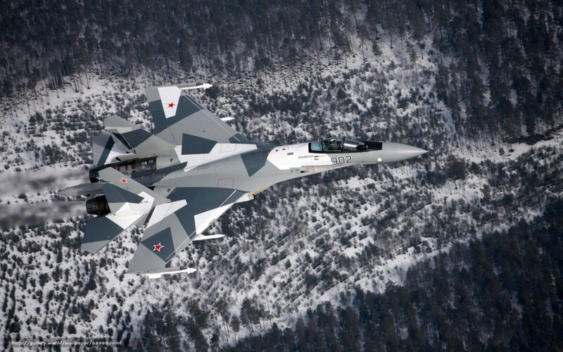 Su-35 Fighter Jet — Gray, Dramatic, Winter, Photograph, Forest