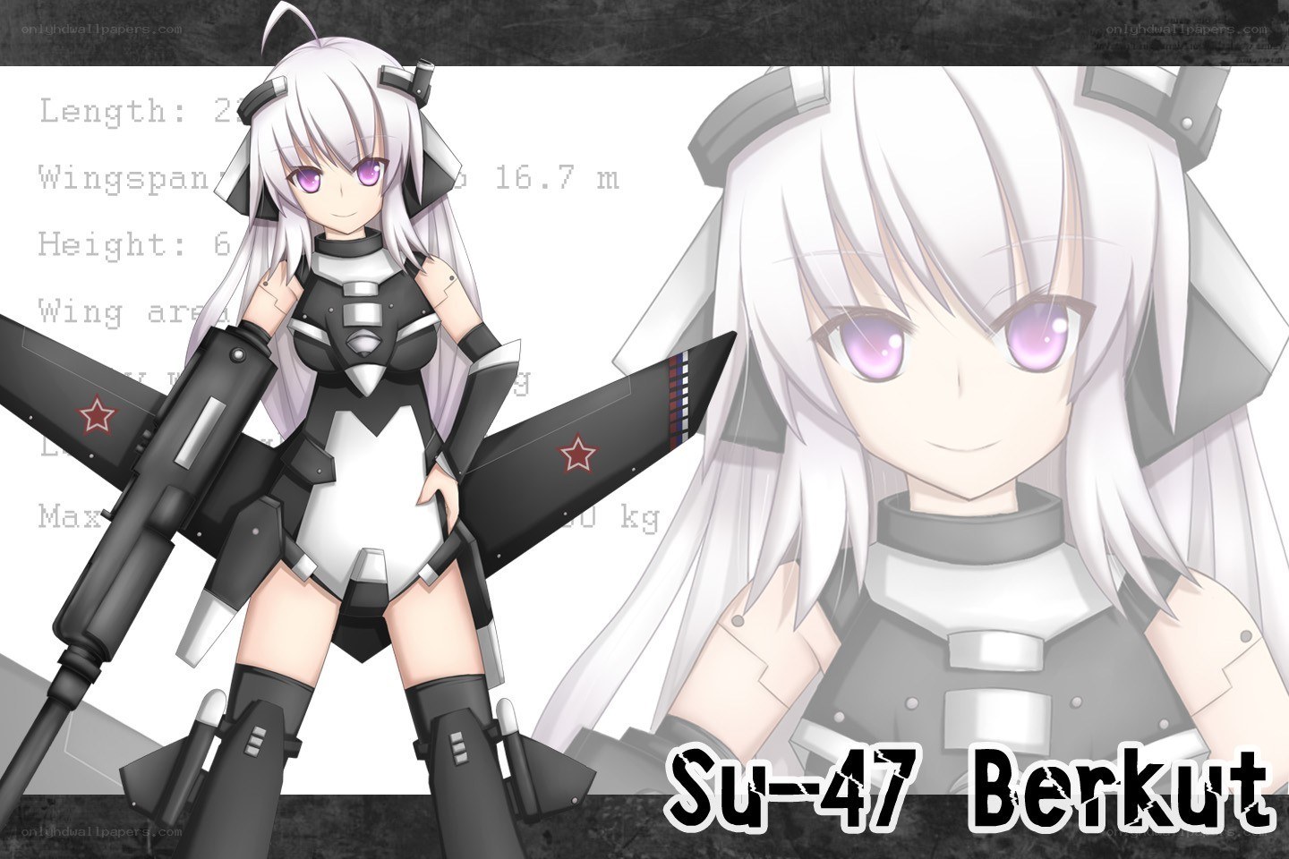 Su-47 Berkut character art