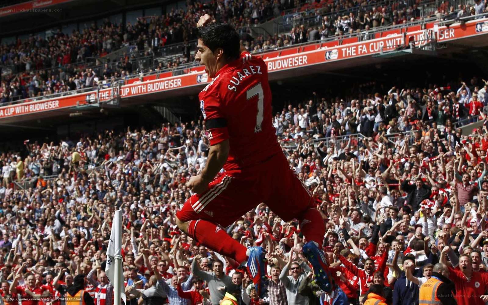 Suarez celebrates goal in stadium