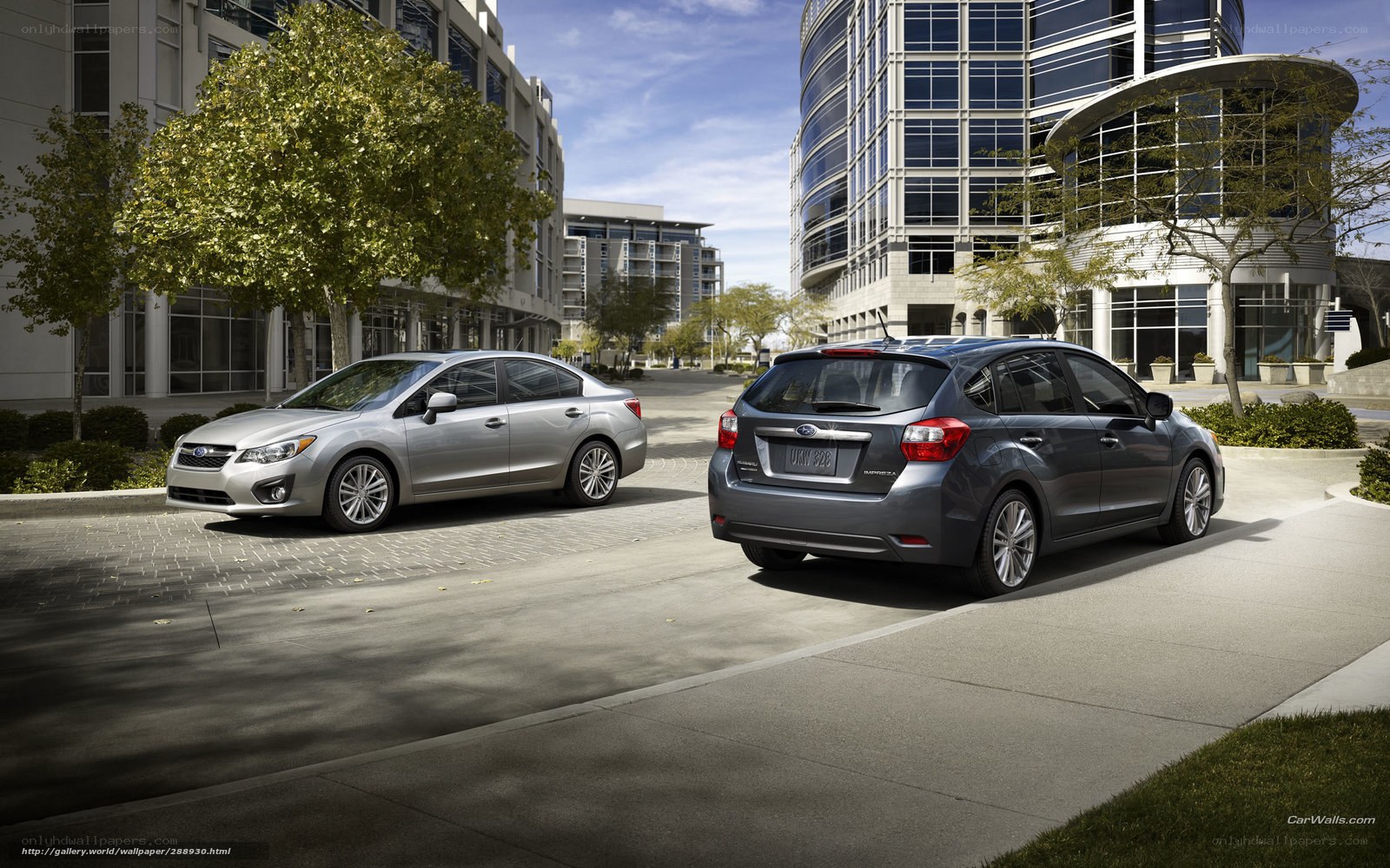 Subaru cars in urban setting