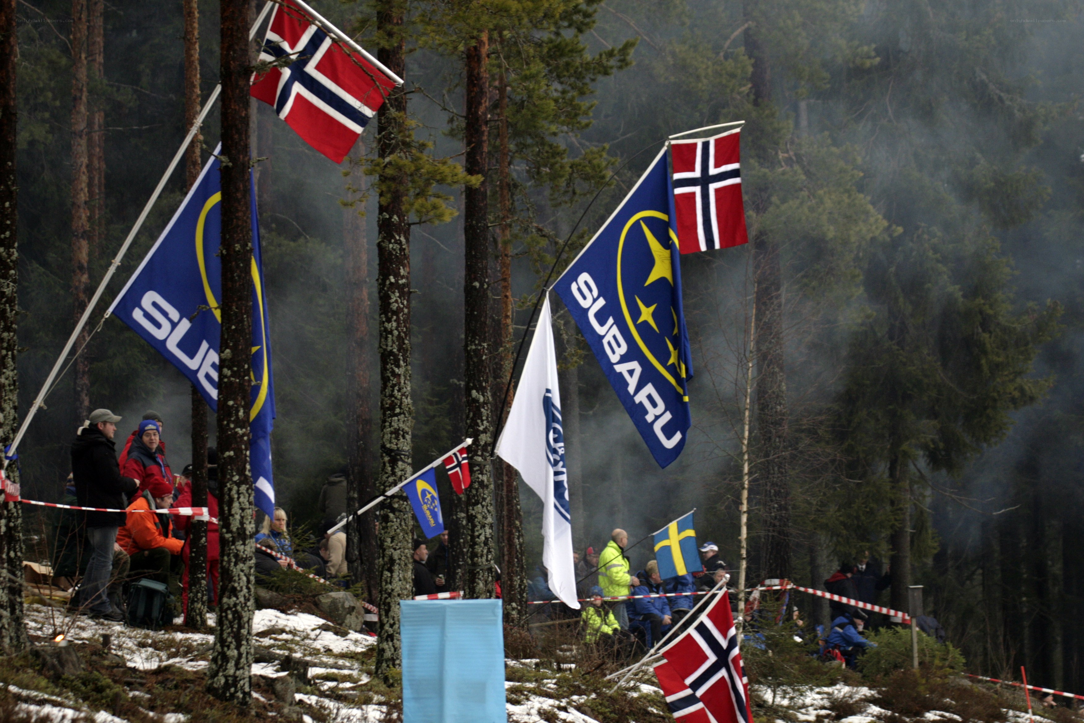 Subaru flags at a forest event