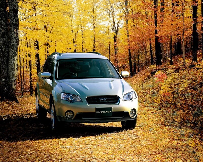 Subaru Outback in autumn forest