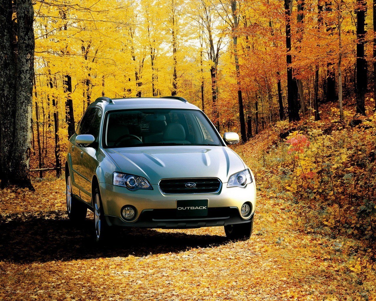 Subaru Outback in autumn forest