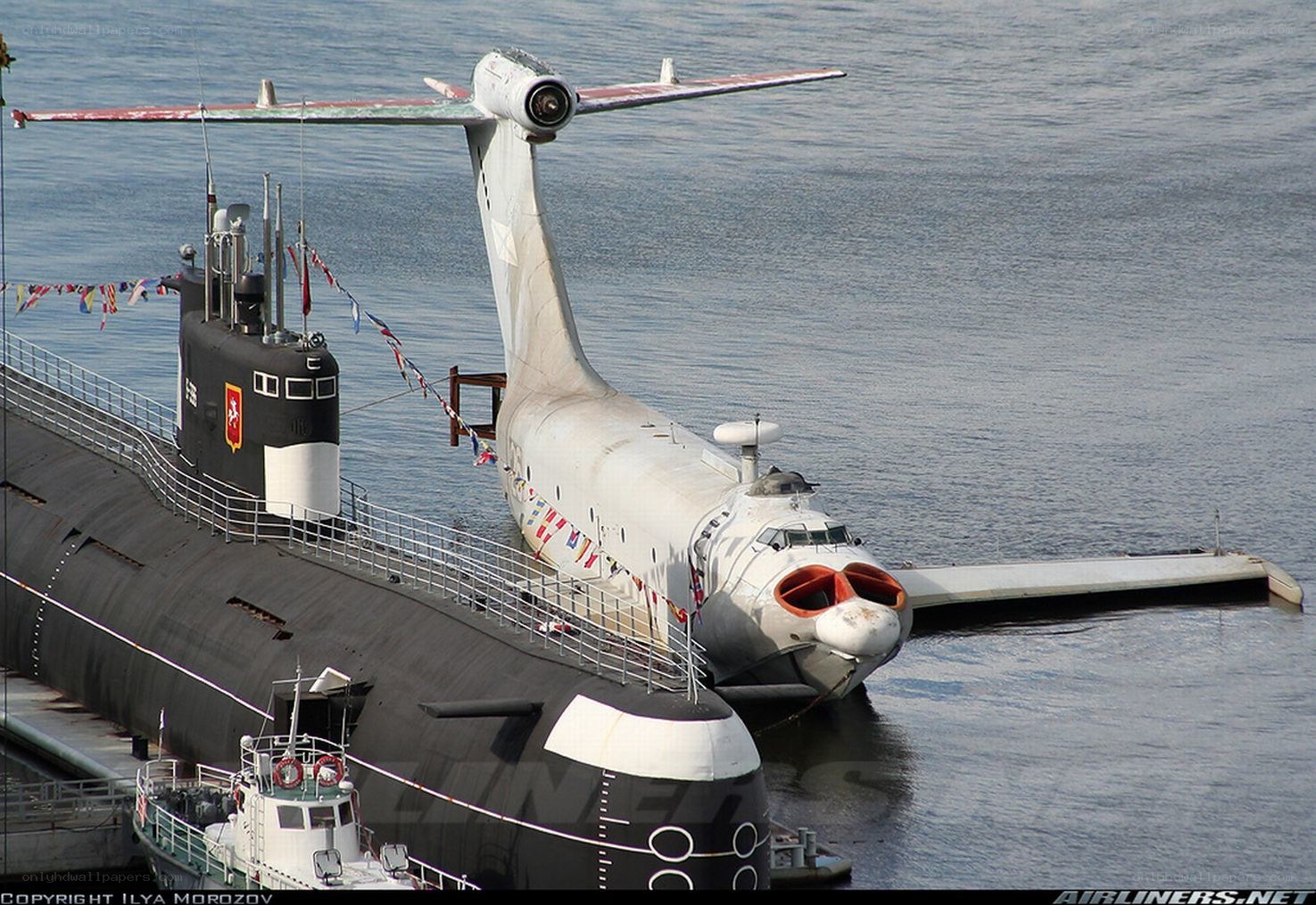 Submarine and aircraft on display
