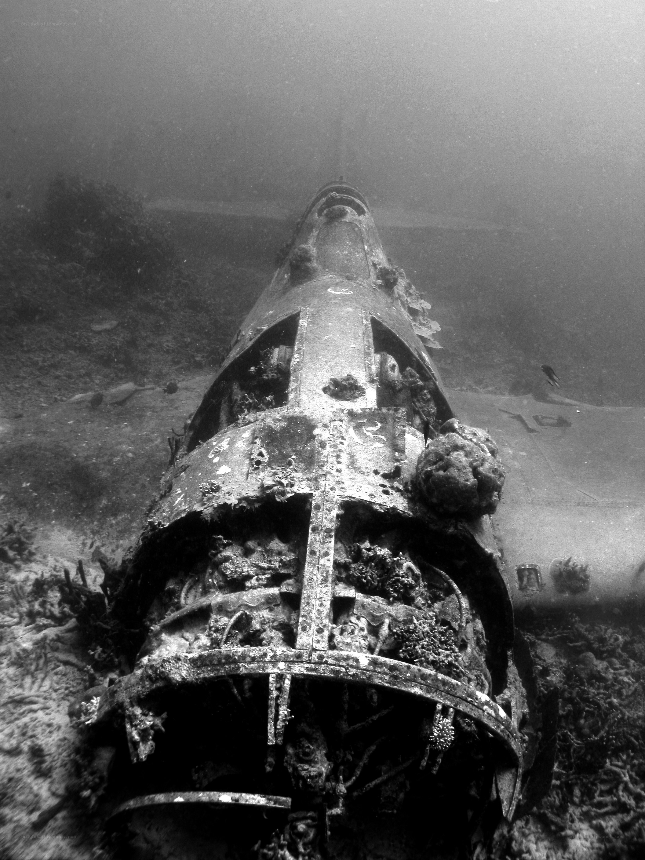 submerged aircraft wreckage