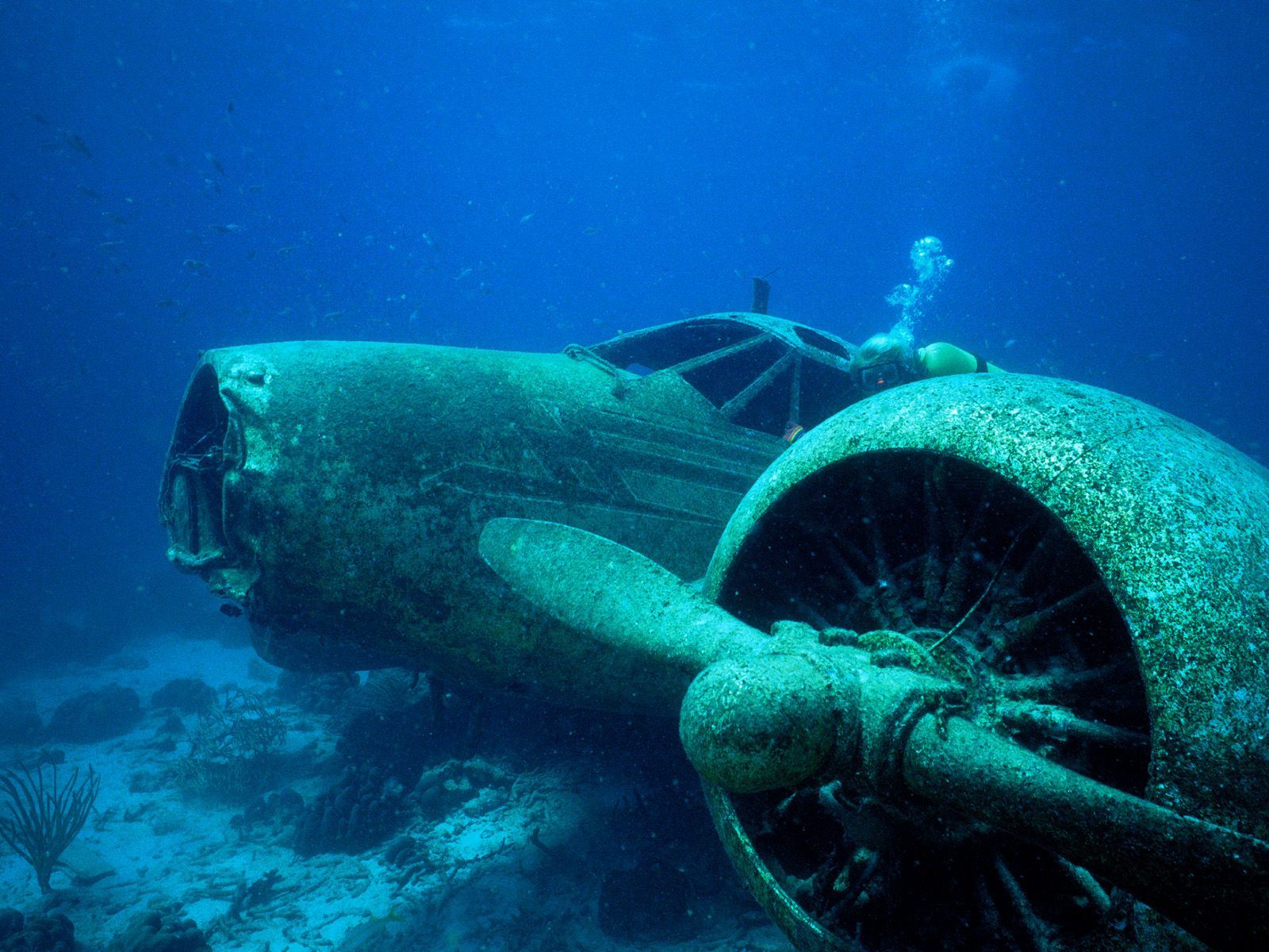 submerged airplane wreck