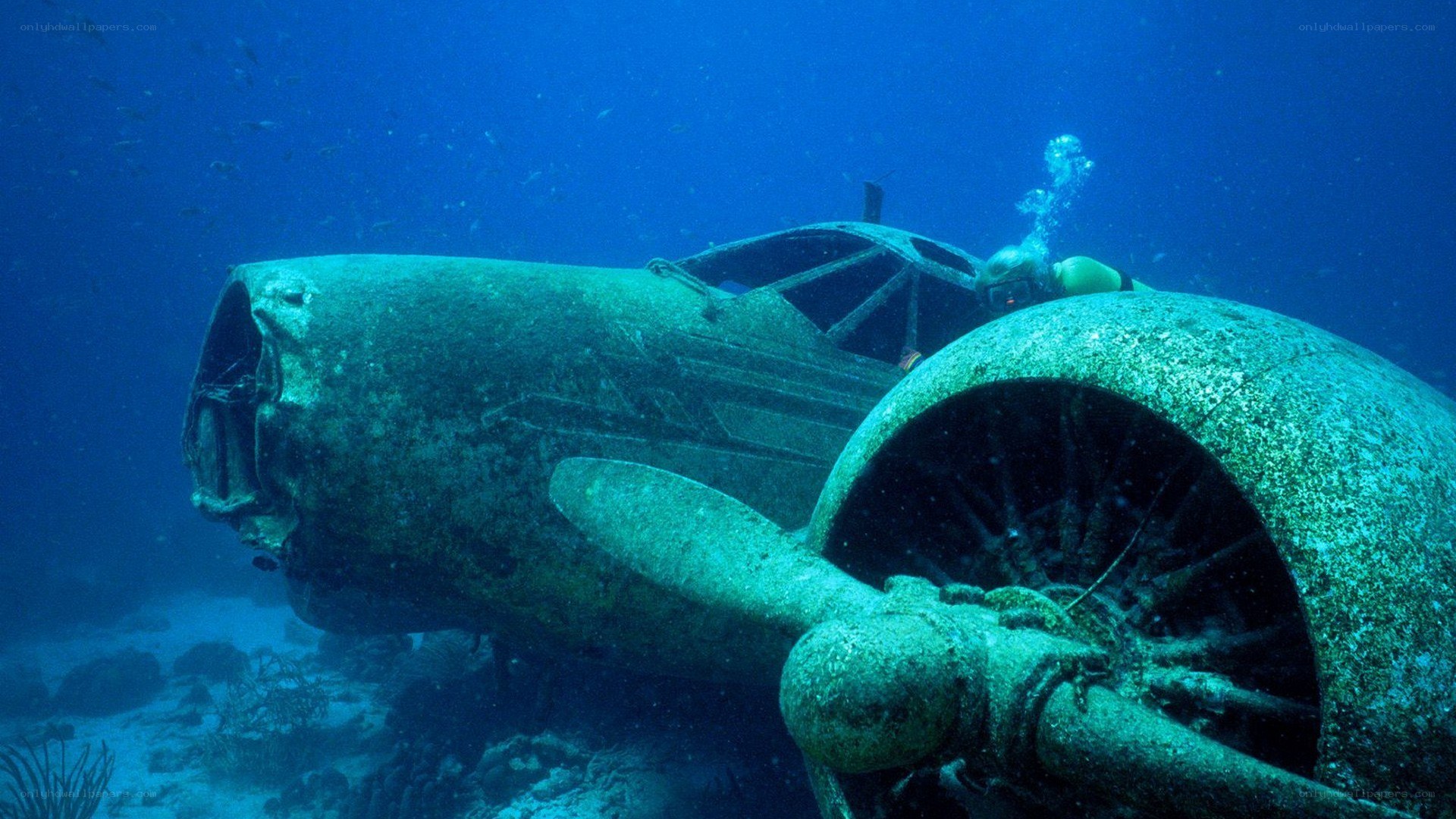 Submerged airplane wreck