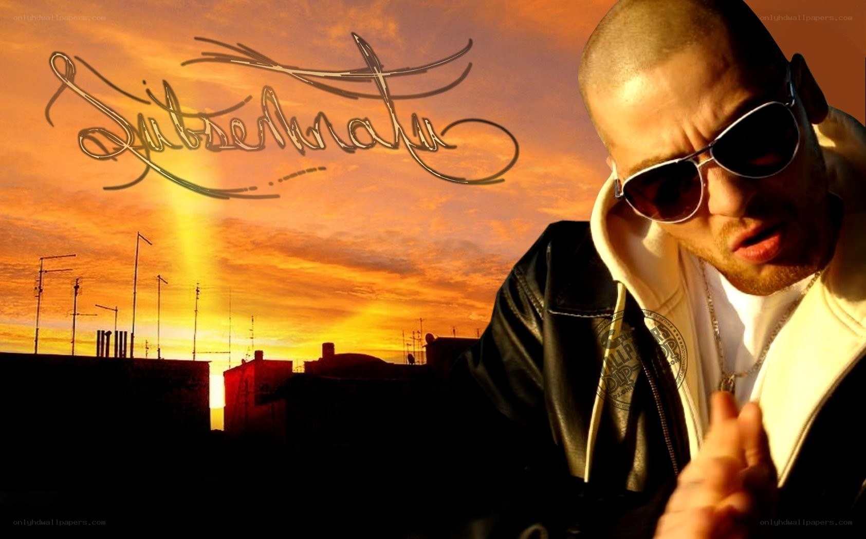Subsonico album cover
