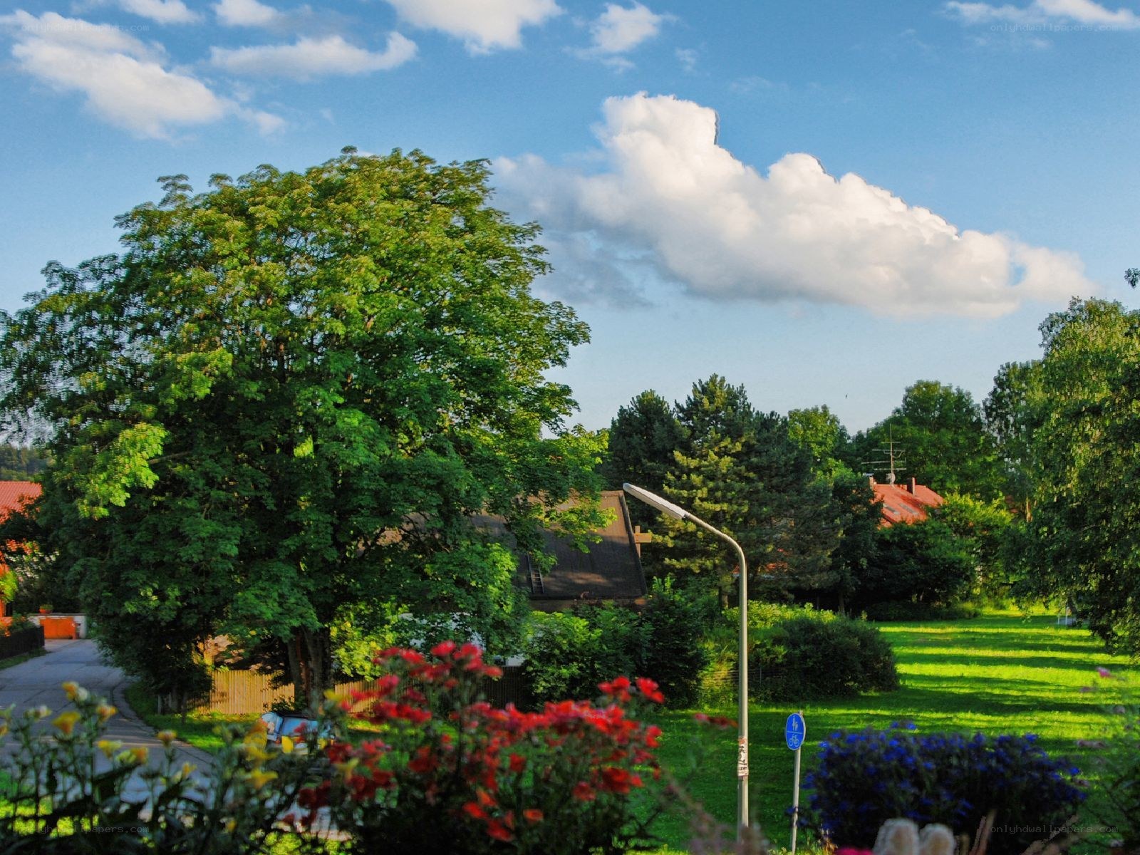 Suburban garden with trees and flowers