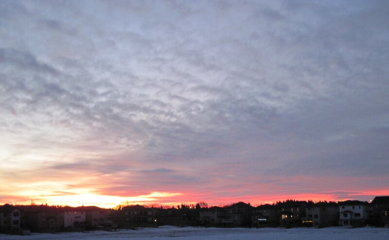 Suburban Houses at Sunset