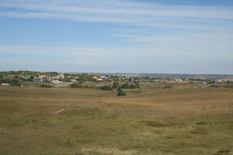 Suburban Houses on Hills