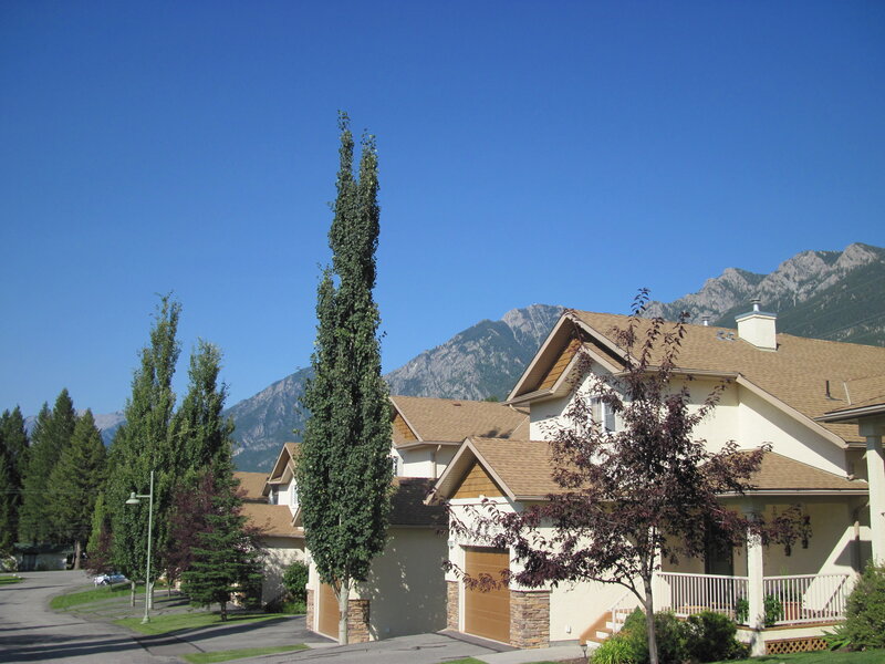 Suburban Houses with Mountains