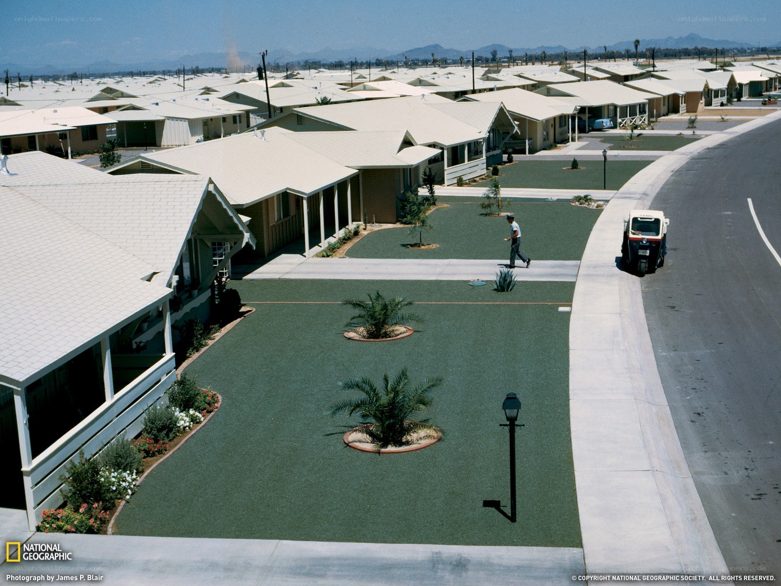Suburban housing development