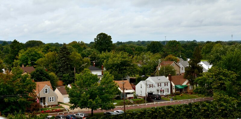 Suburban Neighborhood — Green, Calm