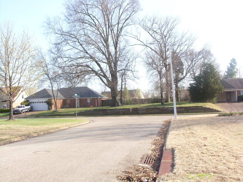 suburban street with brick homes