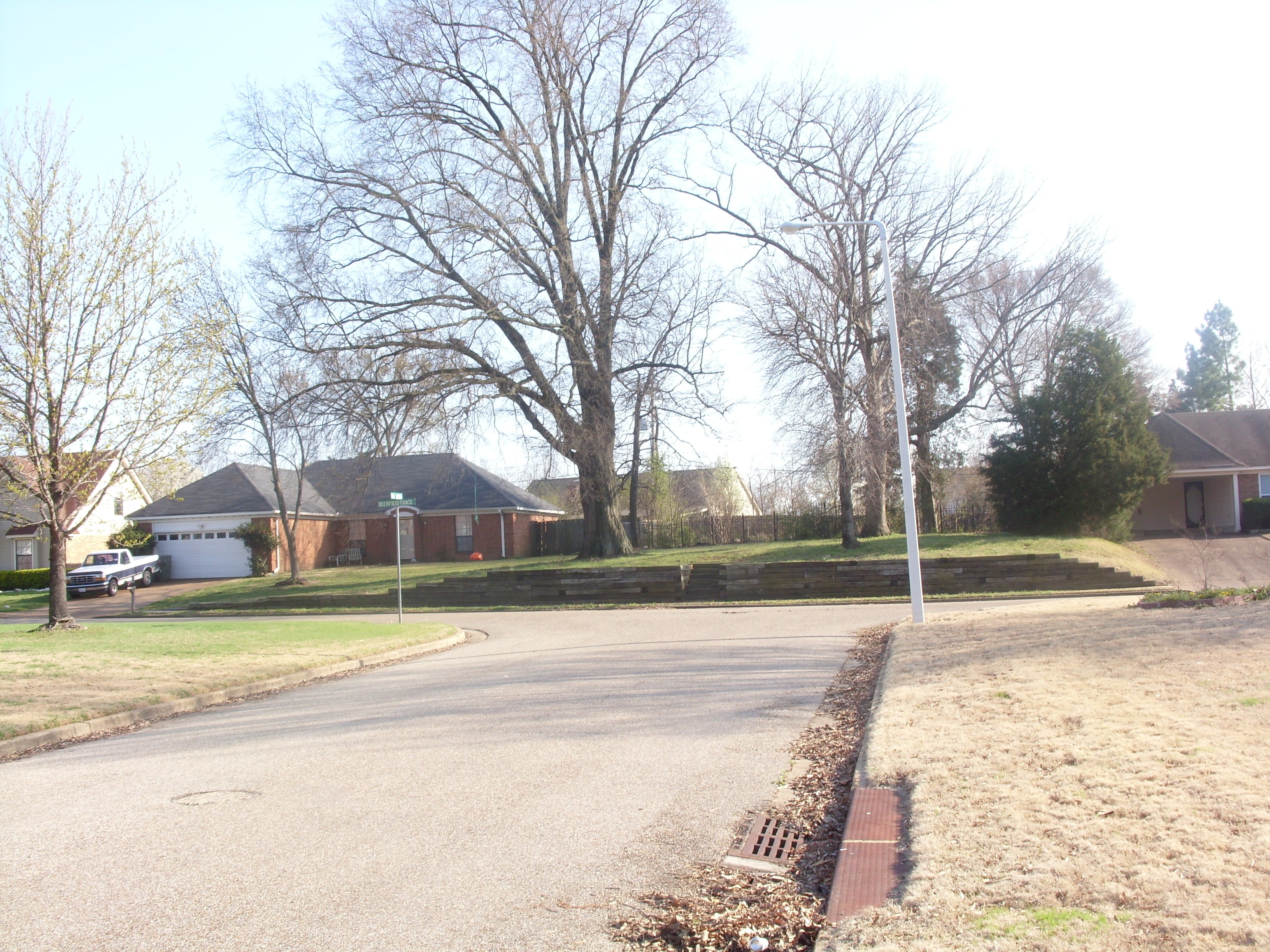 suburban street with brick homes