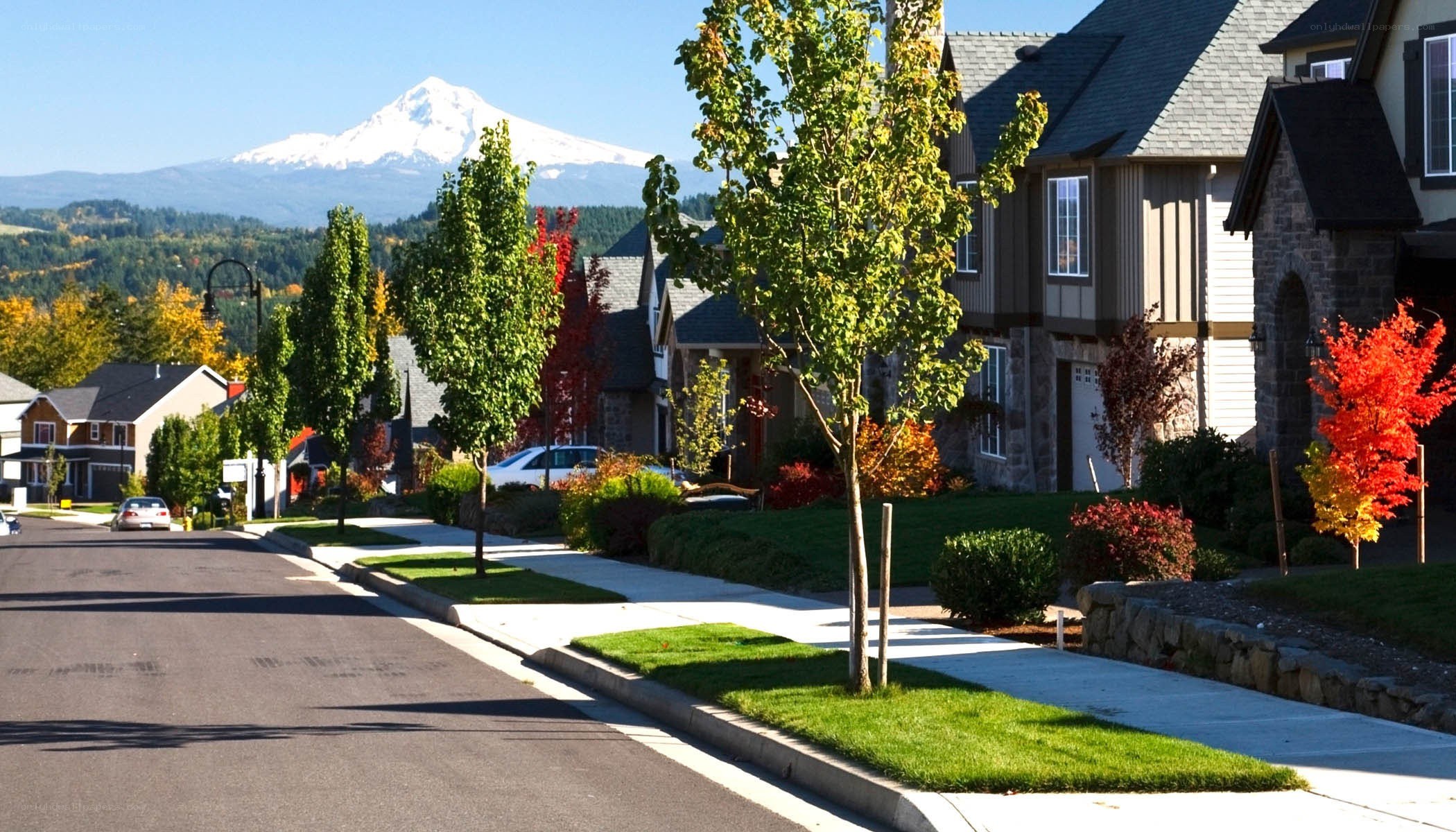 Suburban street with mountain view