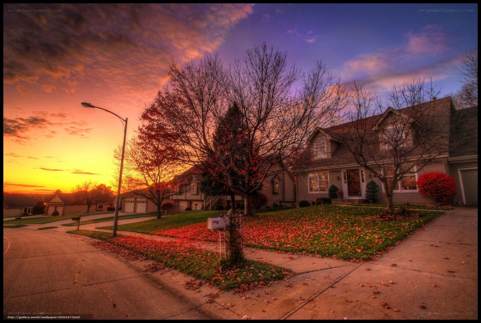 Suburban sunset with autumn leaves