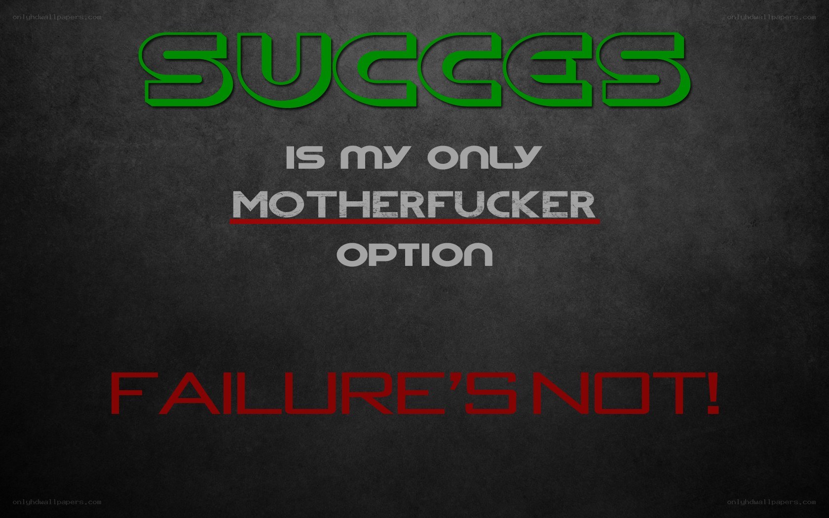 success is the only option