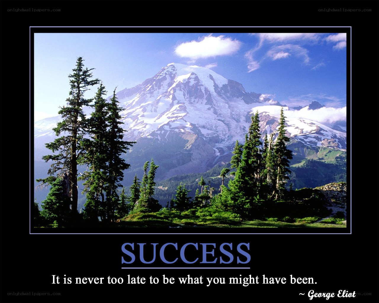 Success mountain quote