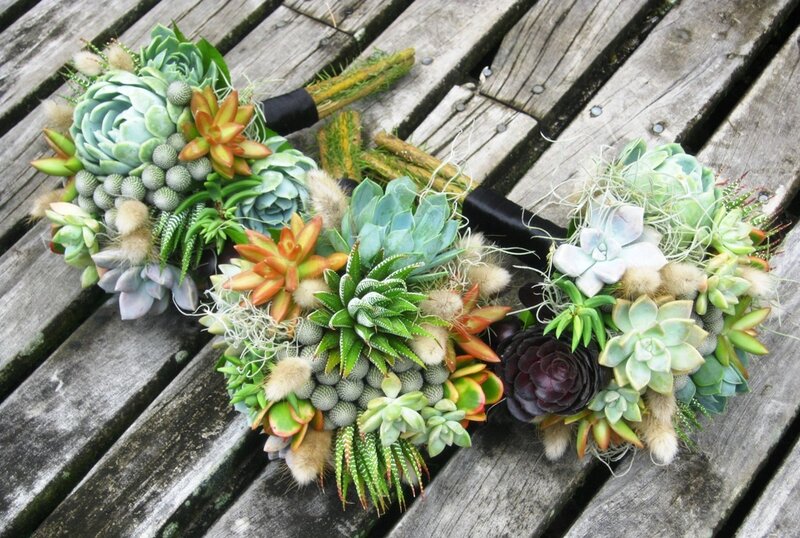 Succulent Bouquets on Wood