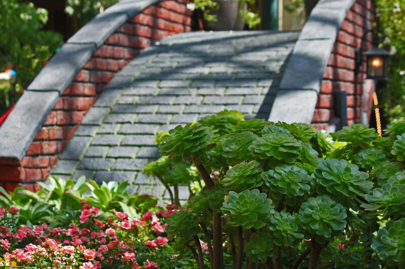 Succulent Plants and Brick Bridge
