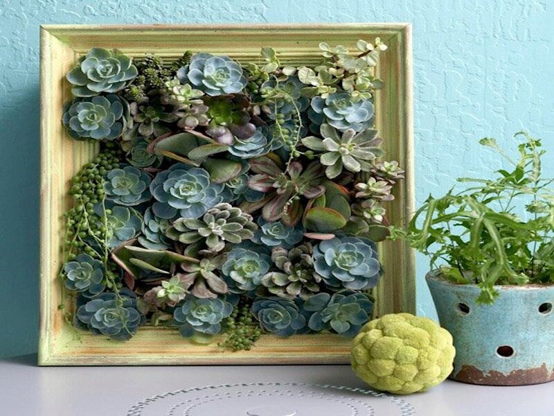 Succulent Wall Art