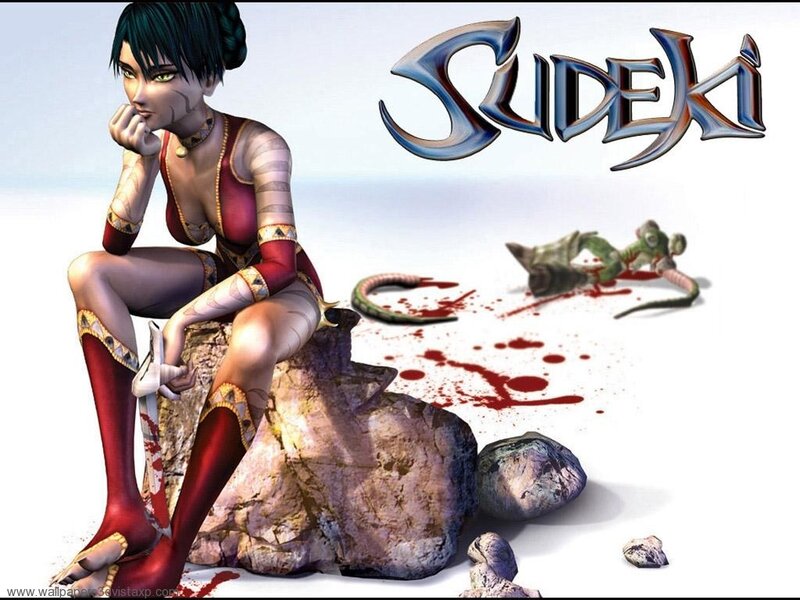 Sudeki game artwork