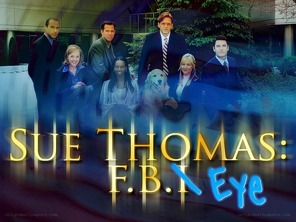 Sue Thomas: F.B.I. Eye