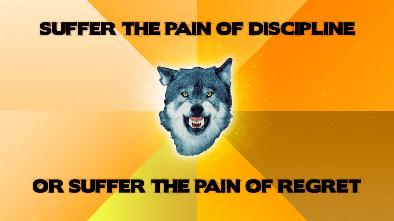 suffer the pain of discipline