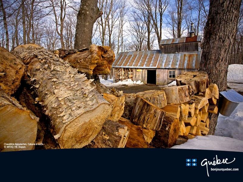 Sugar Shack in Winter