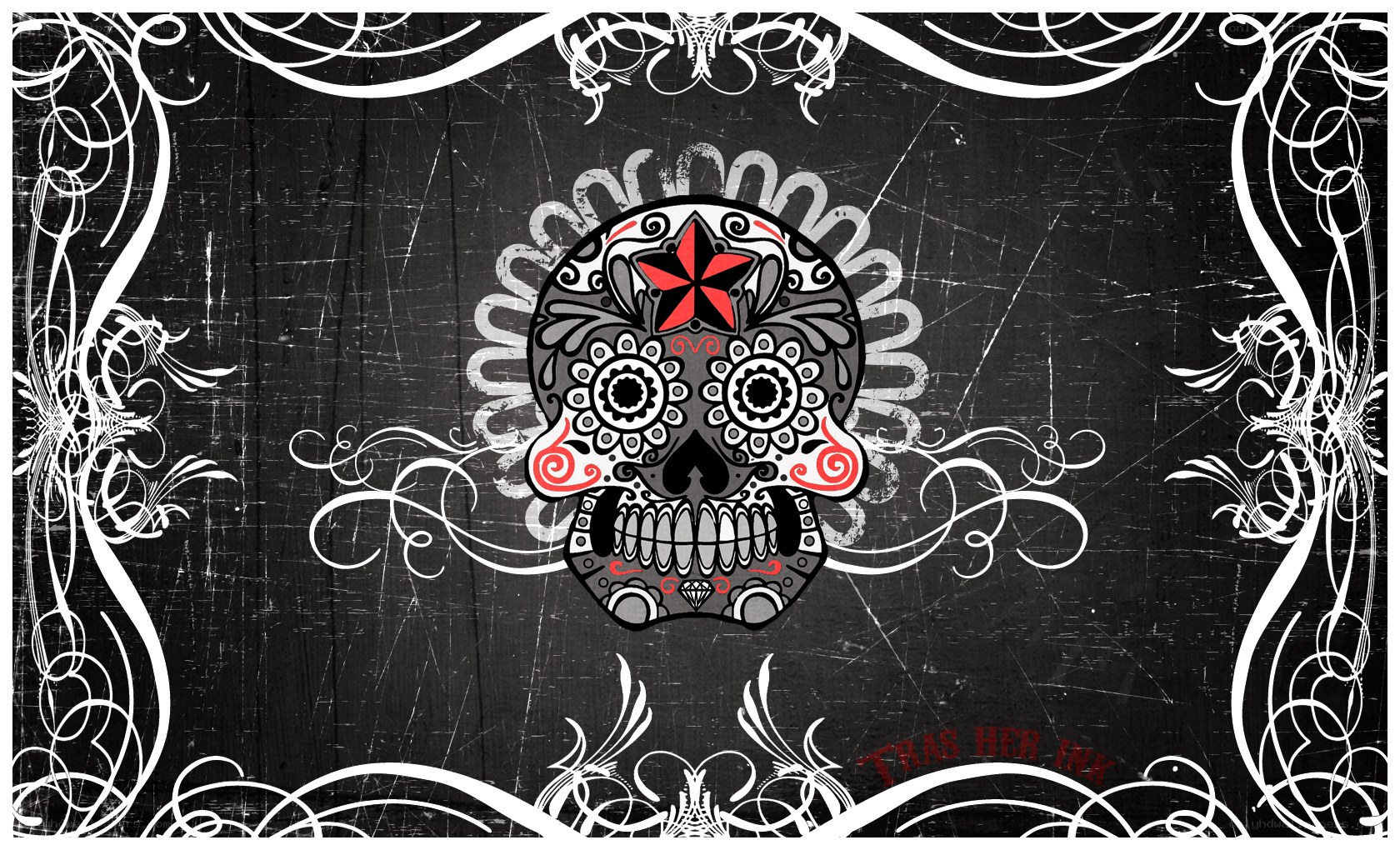 sugar skull art with floral frame