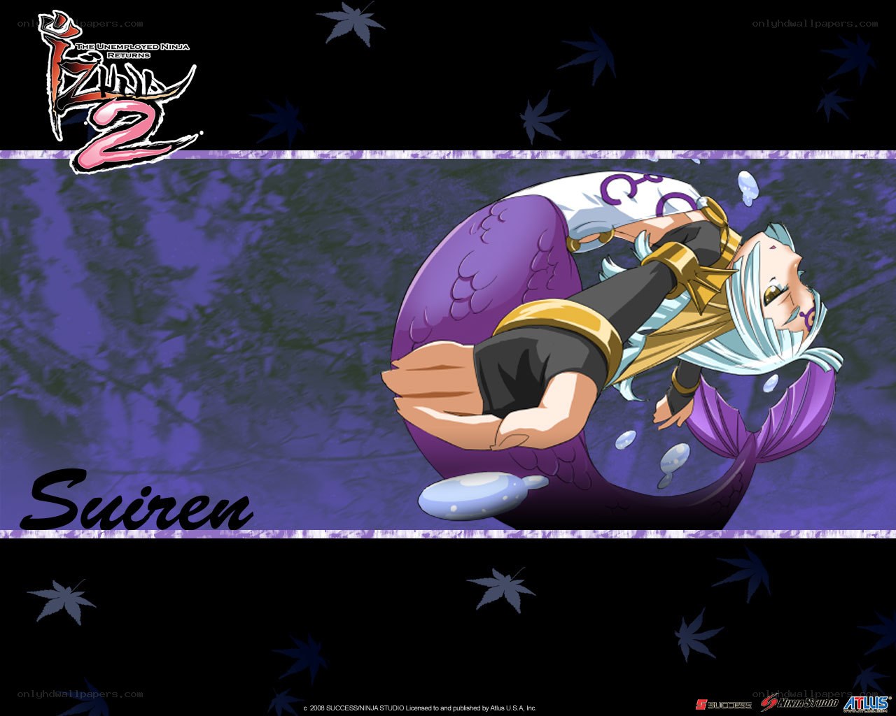 Suiren from IZUMI 2