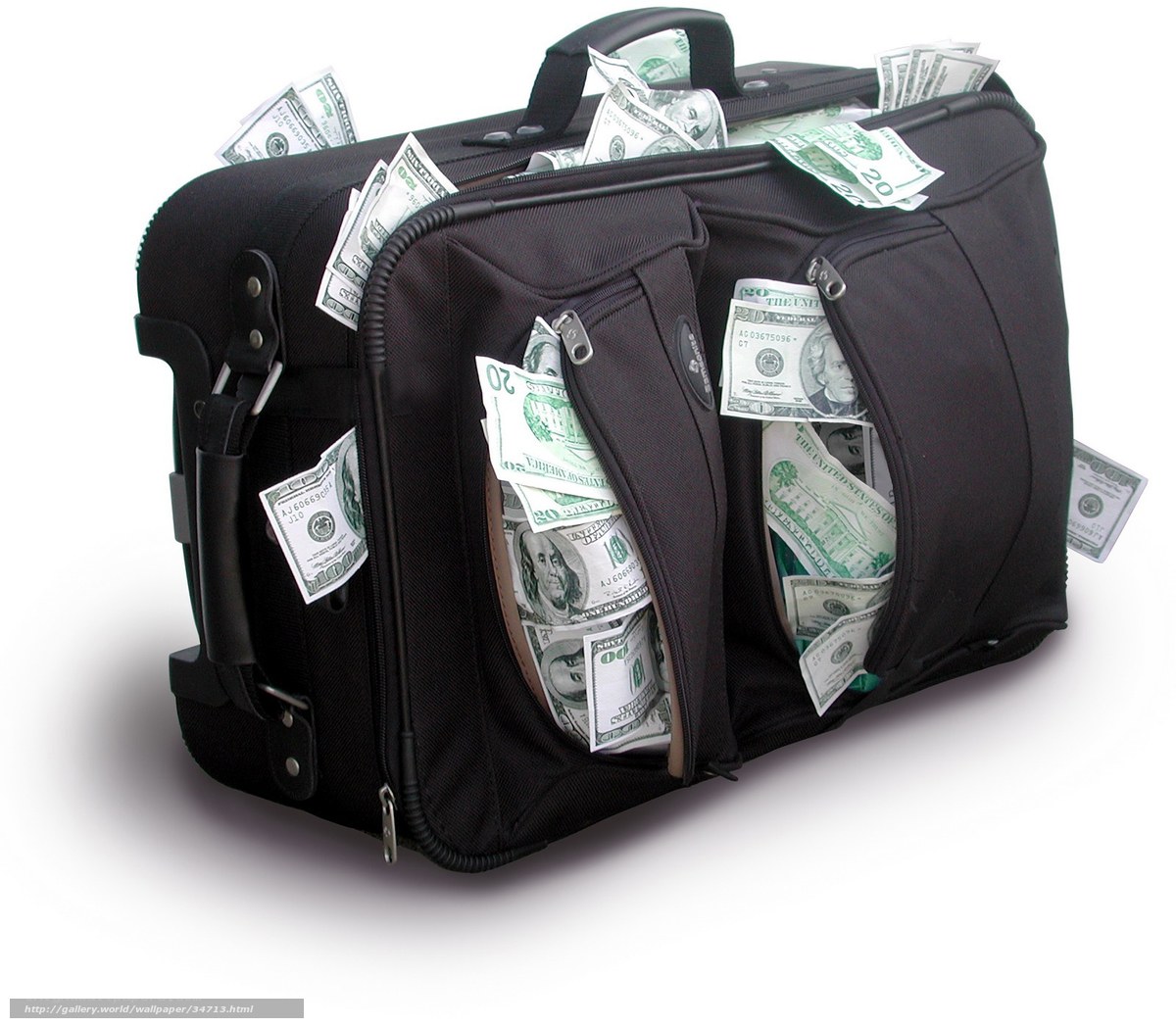 suitcase filled with money