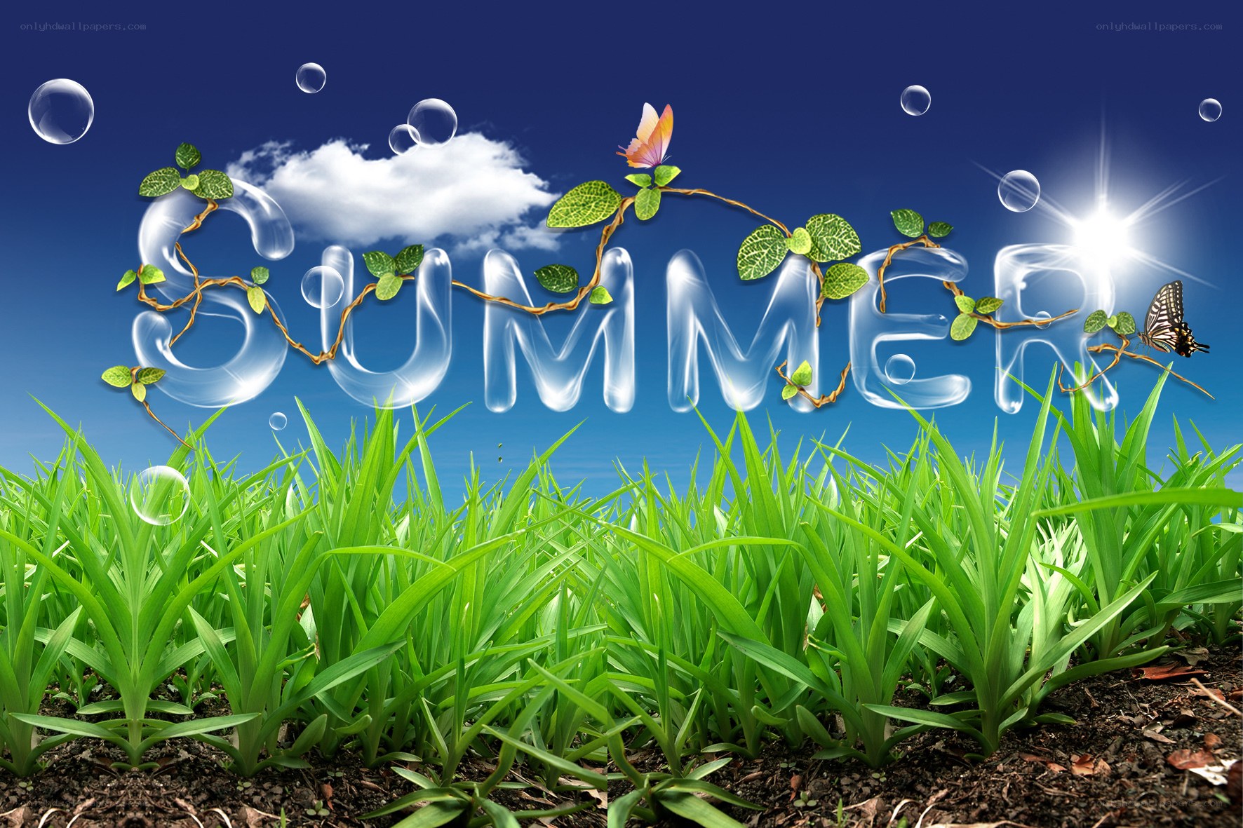 Summer nature scene with text