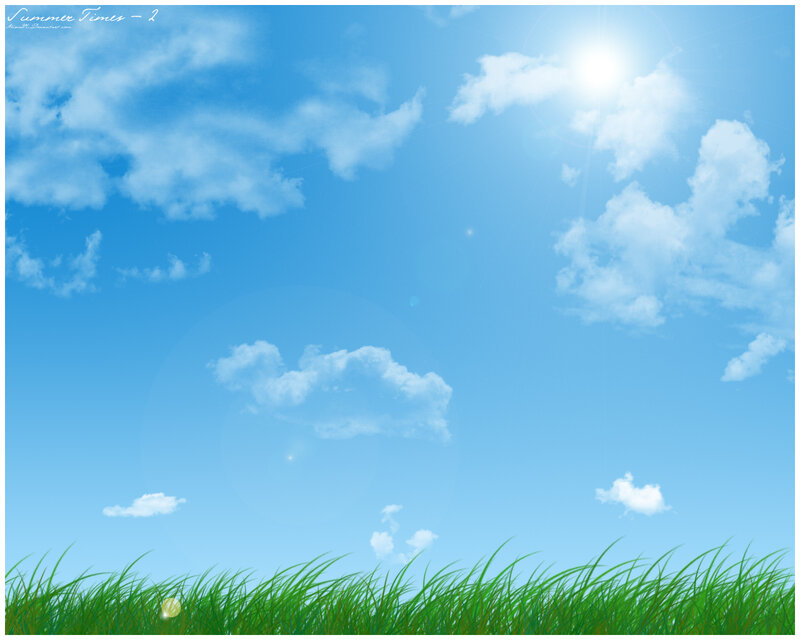 Summer sky with grass