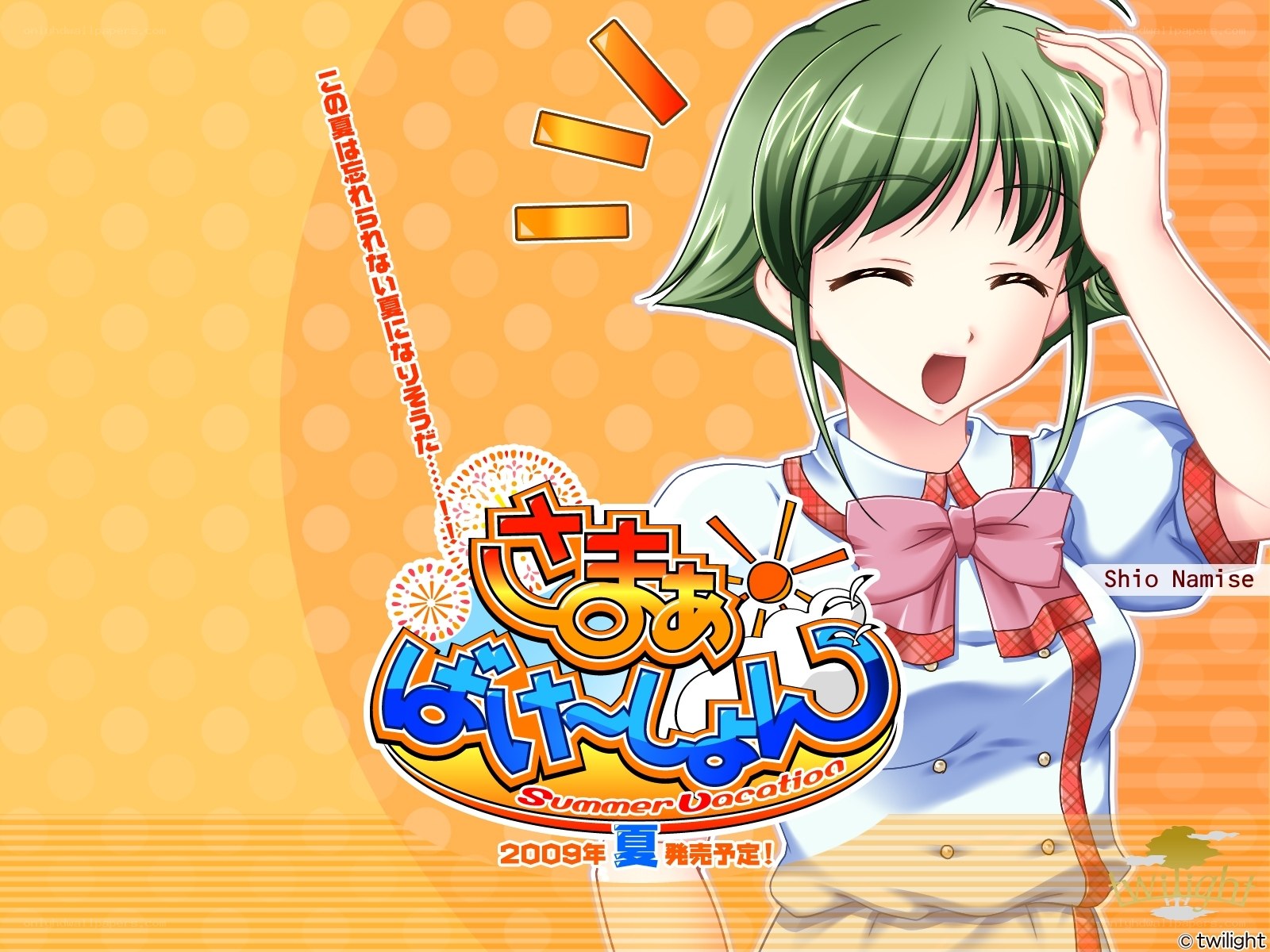 Summer Vacation promotional art