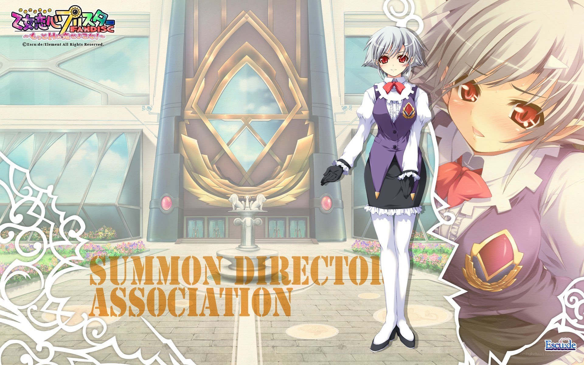 Summon Director Association