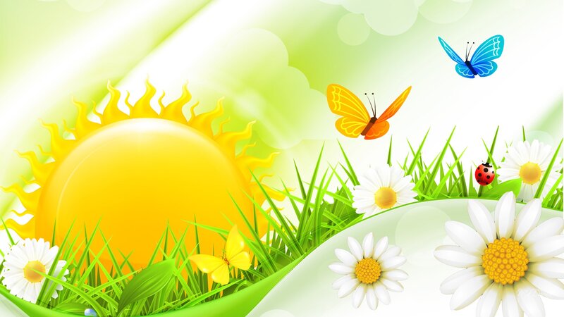 Sun and Daisies in Grass