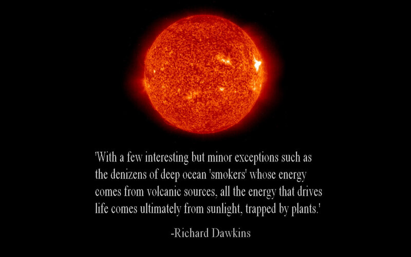 Sun and quote by Richard Dawkins
