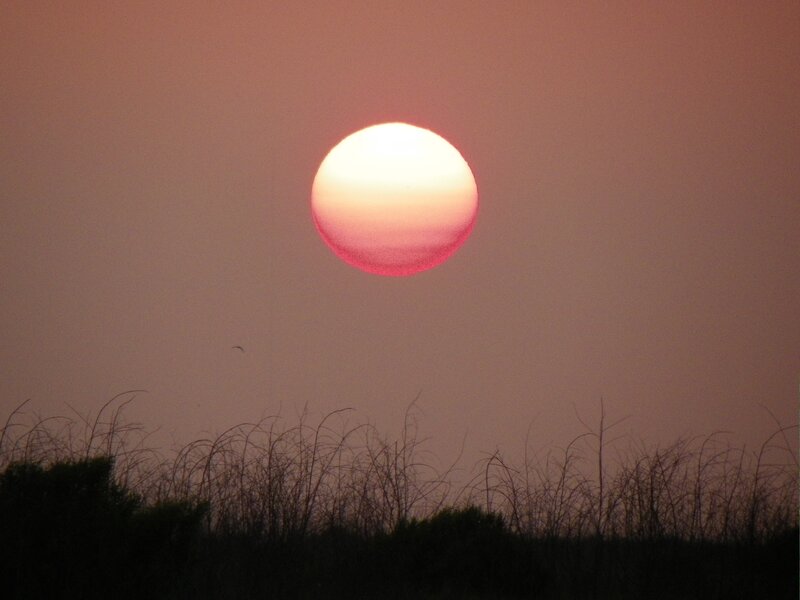 Sun at Sunset — Pink