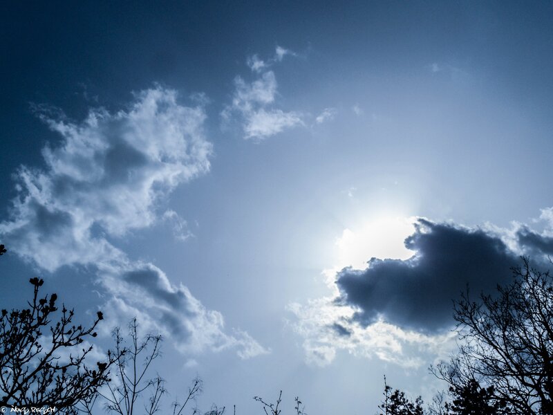 Sun Behind Clouds — Blue, Dramatic, Afternoon, Photograph, Trees, Sky