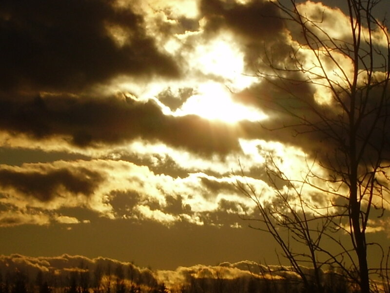 Sun Behind Clouds — Yellow, Dramatic, Sunset, Photograph, Tree