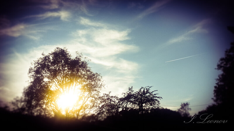 Sun Behind Trees — Blue, Serene, Sunset